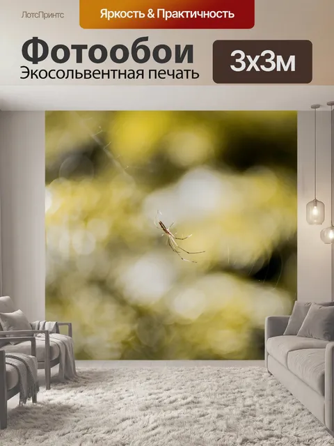 Фотообои Паук