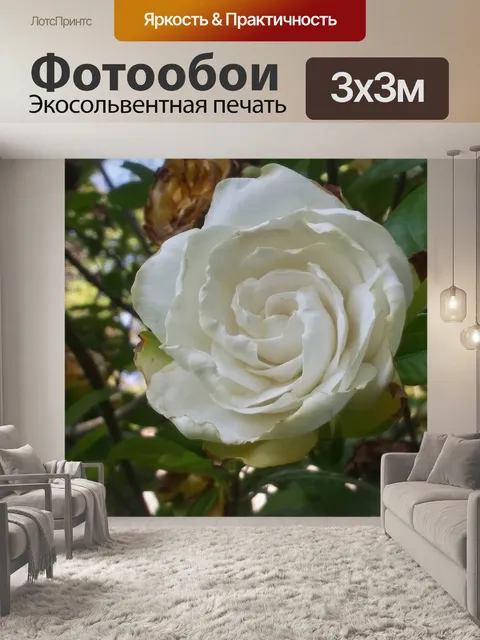 Фотообои Солнце