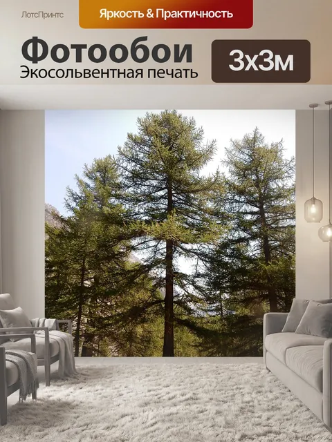 Фотообои Дерево