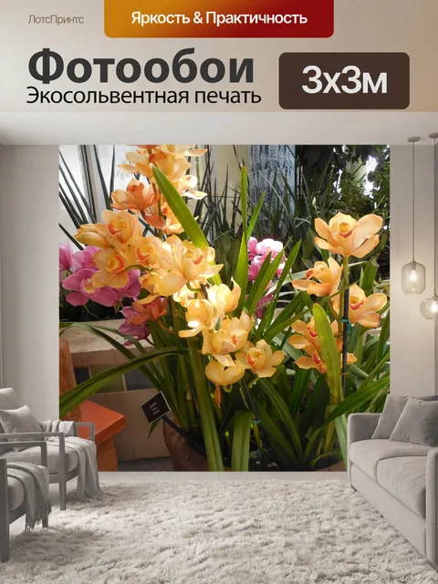 Фотообои Орхидеи
