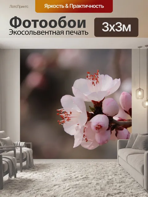 Фотообои Персиковый цвет