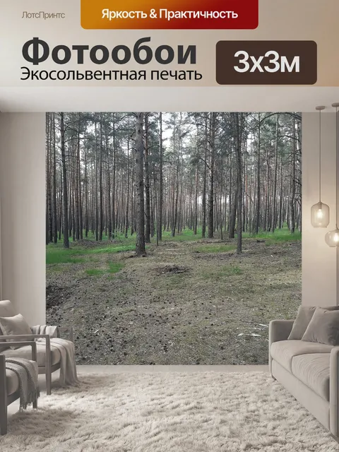 Фотообои Лес