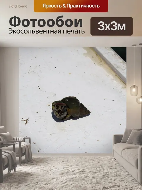 Фотообои Море Slug