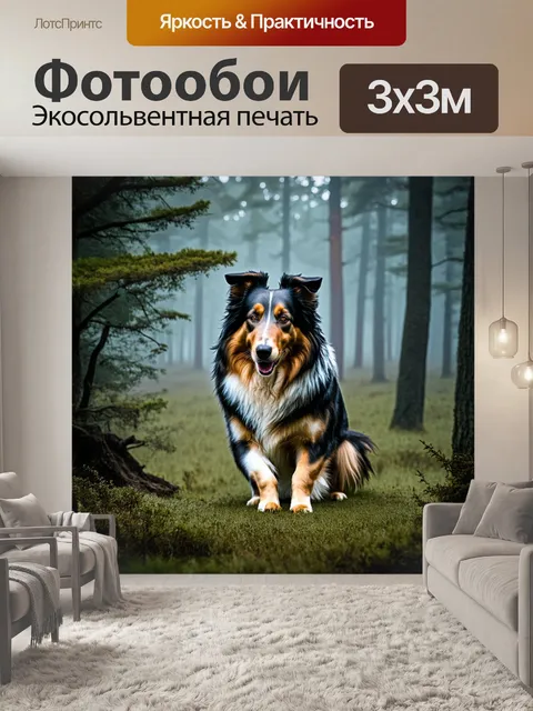 Фотообои изображение колли на фоне леса погруженного в вечернюю дымку, где дерево и кусты выглядят мягкими и размытыми