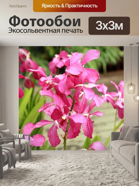 Фотообои Цветок орхидеи цветы