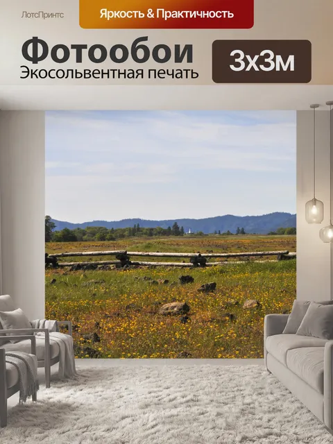 Фотообои Область Полевые цветы