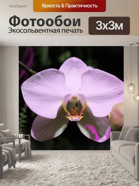 Фотообои Цветок