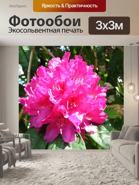 Фотообои Red Tree Flower