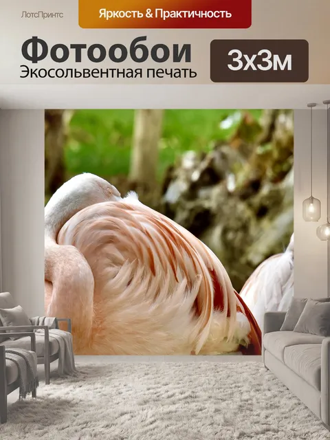 Фотообои Фламинго