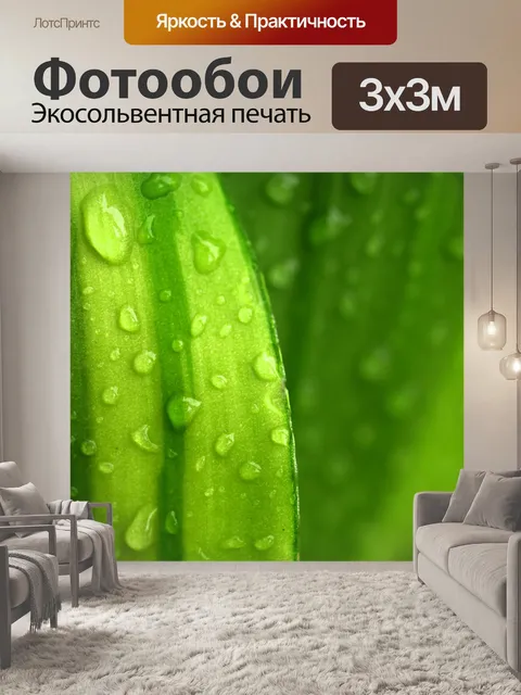 Фотообои Капля воды на листе
