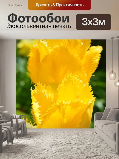 Фотообои Тюльпаны