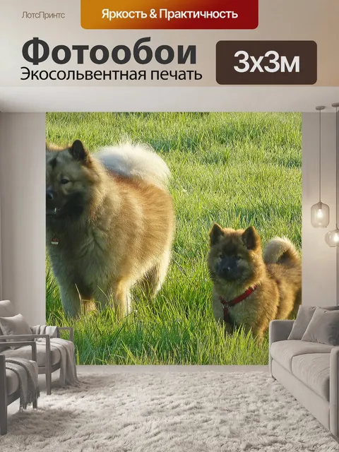 Фотообои Собаки