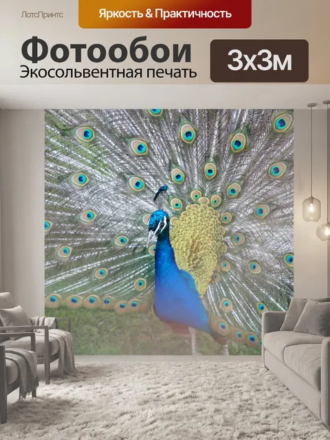 Фотообои Павлин