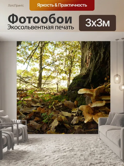 Фотообои Лес