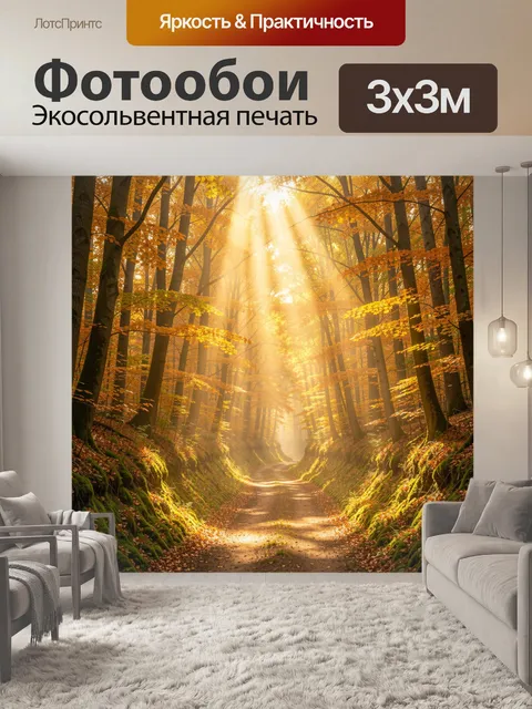 Фотообои Осенний лесной путь в лучах солнца