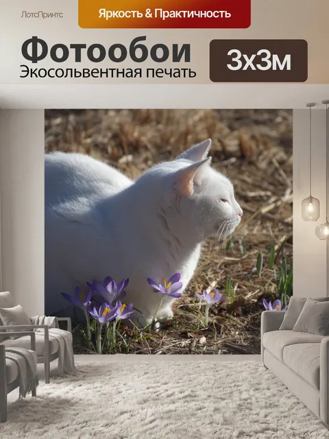 Фотообои Кот