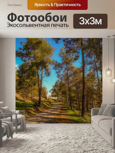 Фотообои Дорога