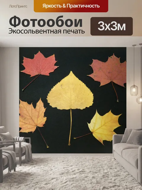 Фотообои Лист тополя