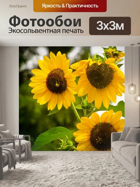 Фотообои Подсолнечник, цветок, желтый