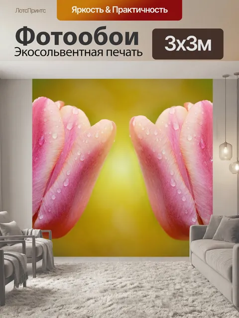Фотообои Тюльпаны