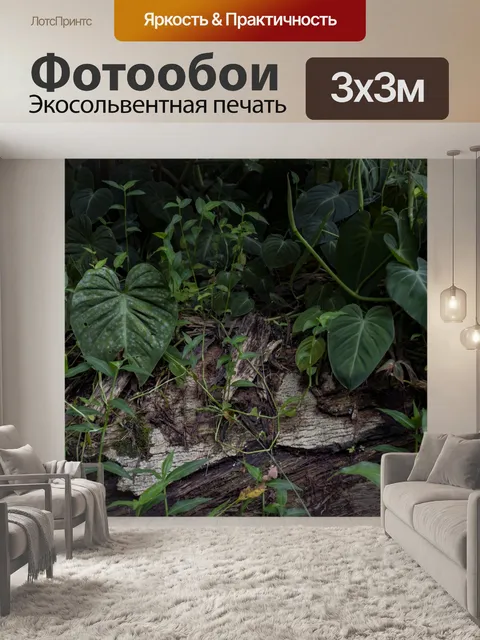 Фотообои Дождевой лес
