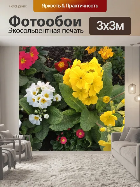 Фотообои Цветы