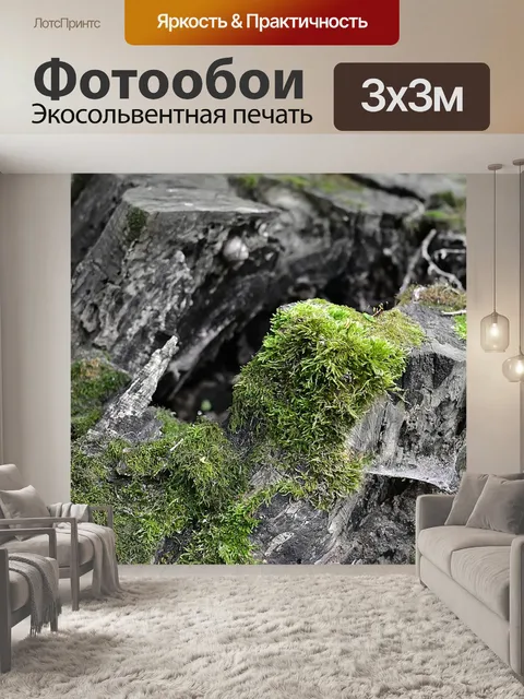 Фотообои Пень