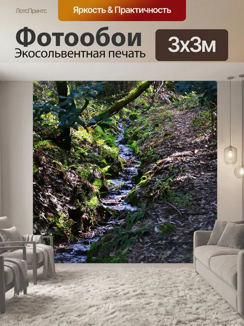 Фотообои Деревья