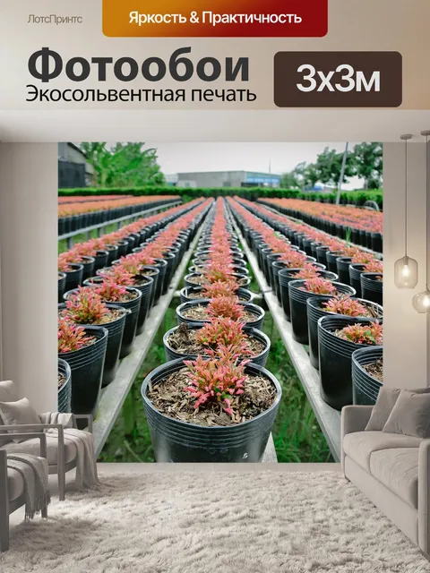 Фотообои Сад