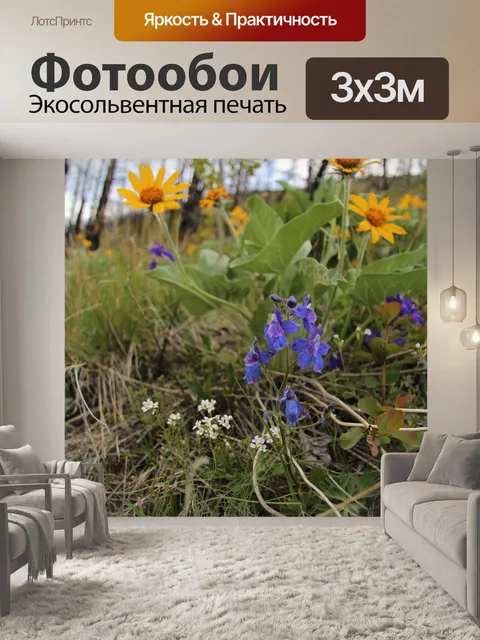 Фотообои Дикие горные цветы