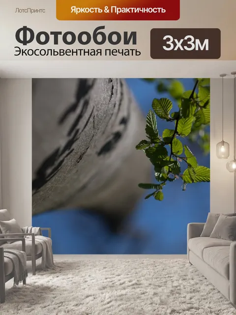 Фотообои Лес