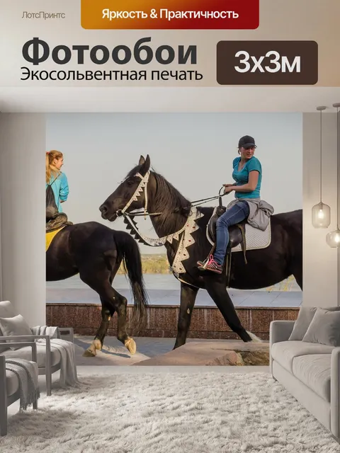 Фотообои Лошади