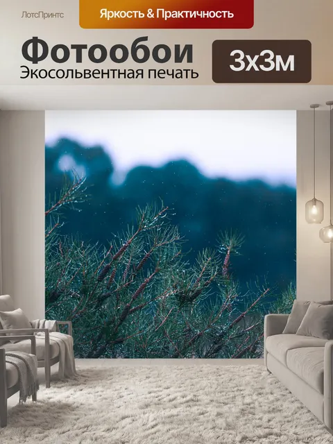 Фотообои Дождь