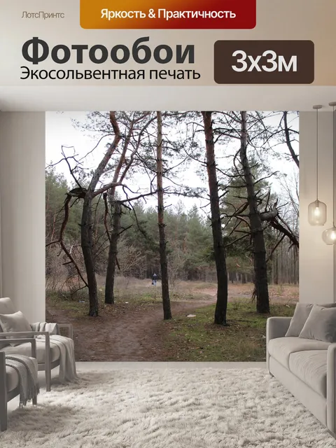 Фотообои Дерево