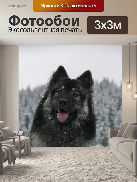 Фотообои Собака