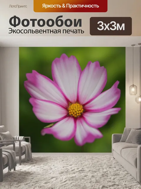 Фотообои Космос