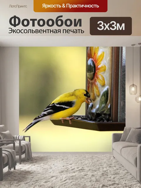 Фотообои Мужской гольфист на фидере