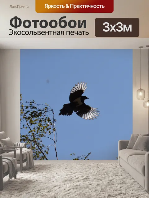 Фотообои Сорока