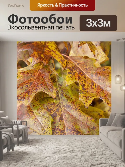 Фотообои Листья