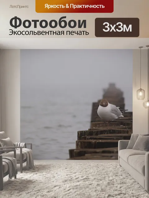 Фотообои Чайка
