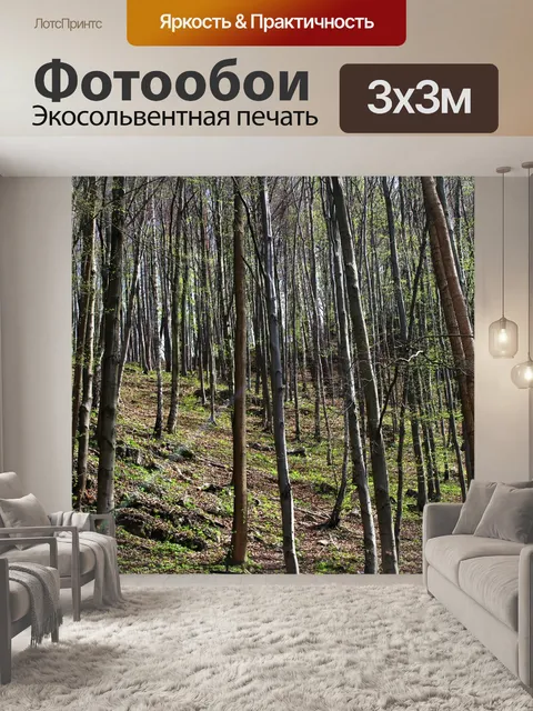 Фотообои Лес