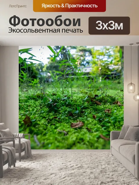 Фотообои Лес
