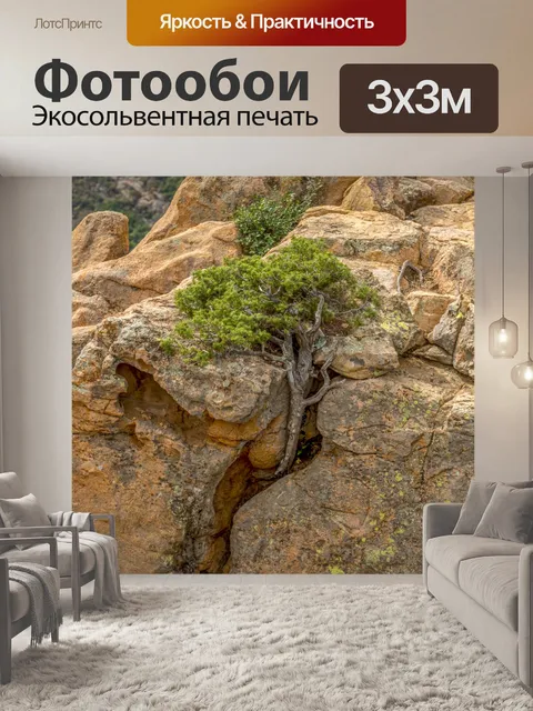 Фотообои Пиана на Корсике