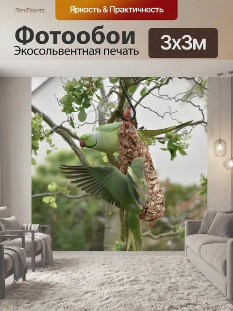 Фотообои Кольчатый попугай
