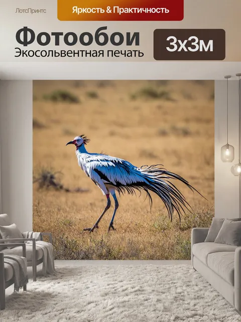 Фотообои птица-секретарь, охотящаяся в саванне, с текстурами журавлиных перьев, выполненная в технике природной…