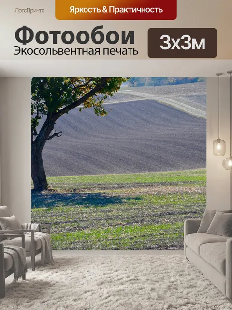 Фотообои Дерево