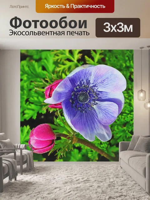 Фотообои Анемоны