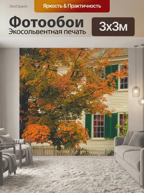 Фотообои Исторический дом