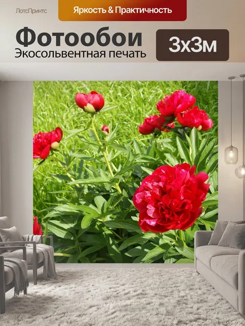 Фотообои Цветы