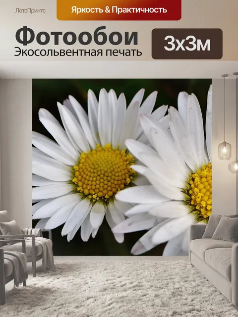 Фотообои Весенний луг